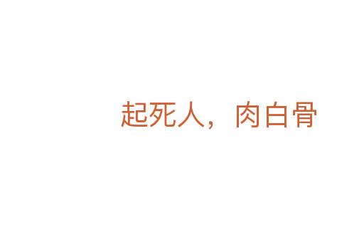 起 人,肉白骨
